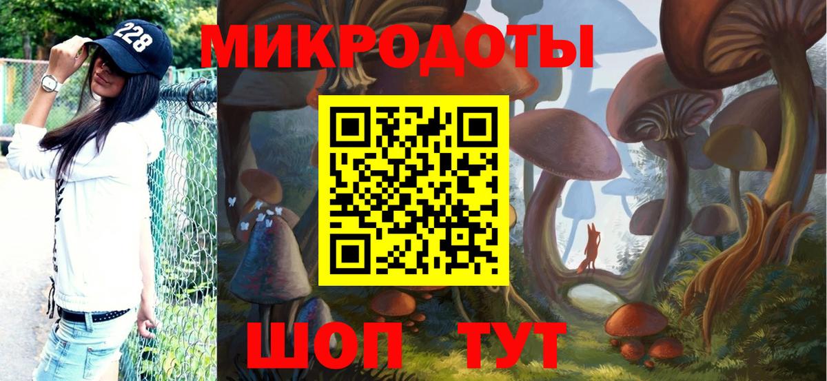 Псилоцибиновые грибы GOLDEN TEACHER  Вход с VPN  Димитровград 